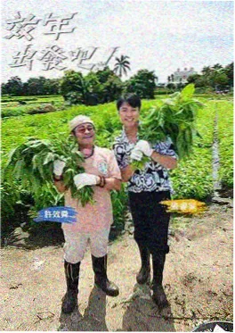 城市厨房纪实 综艺封面